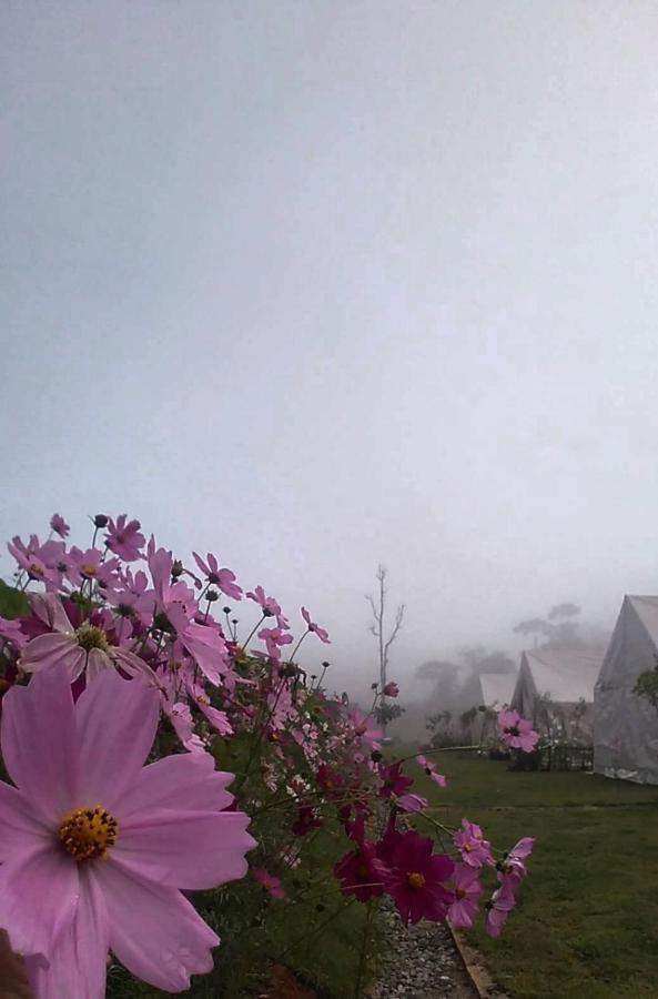 Lys I Dalen Resort&Camping Khao Kho Dış mekan fotoğraf